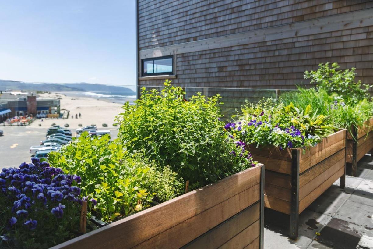 Headlands Coastal Lodge & Spa 퍼시픽 시티 외부 사진